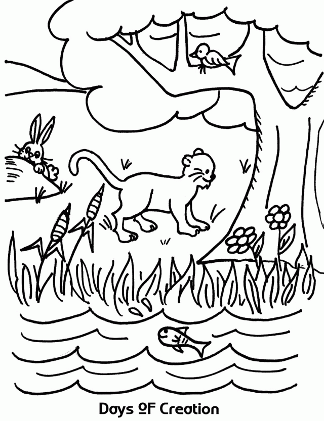 Days Of Creation Jpg 269437 Awana Coloring Pages