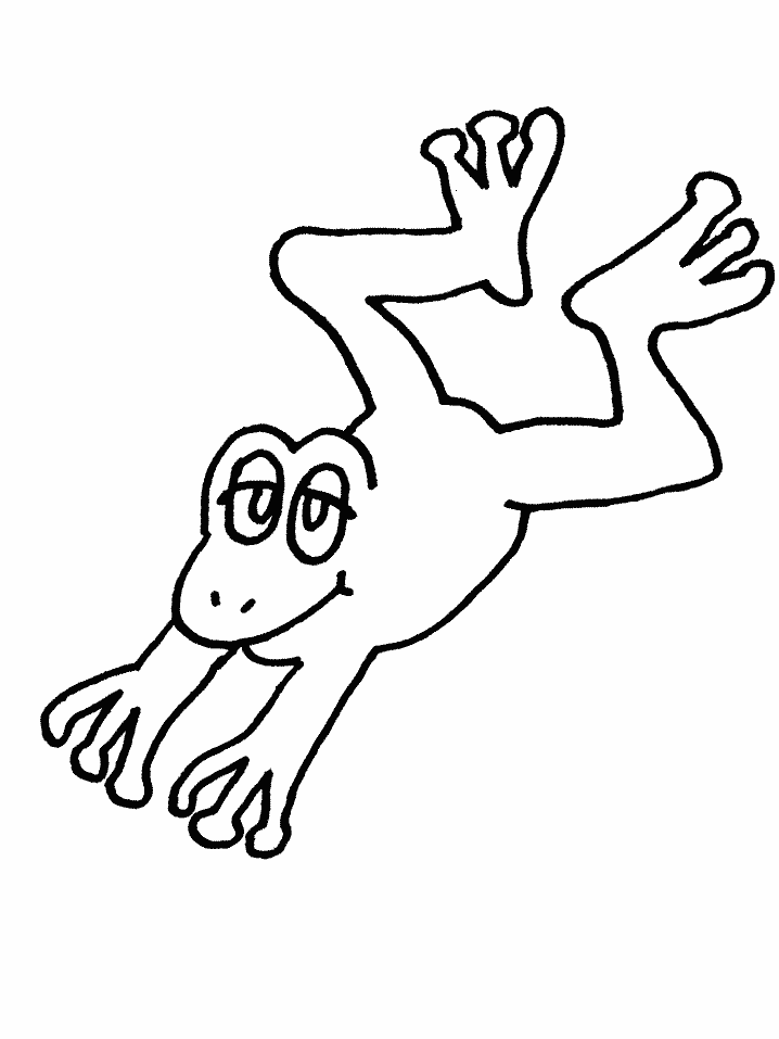 Frogs 12 Animals Coloring Pages & Coloring Book