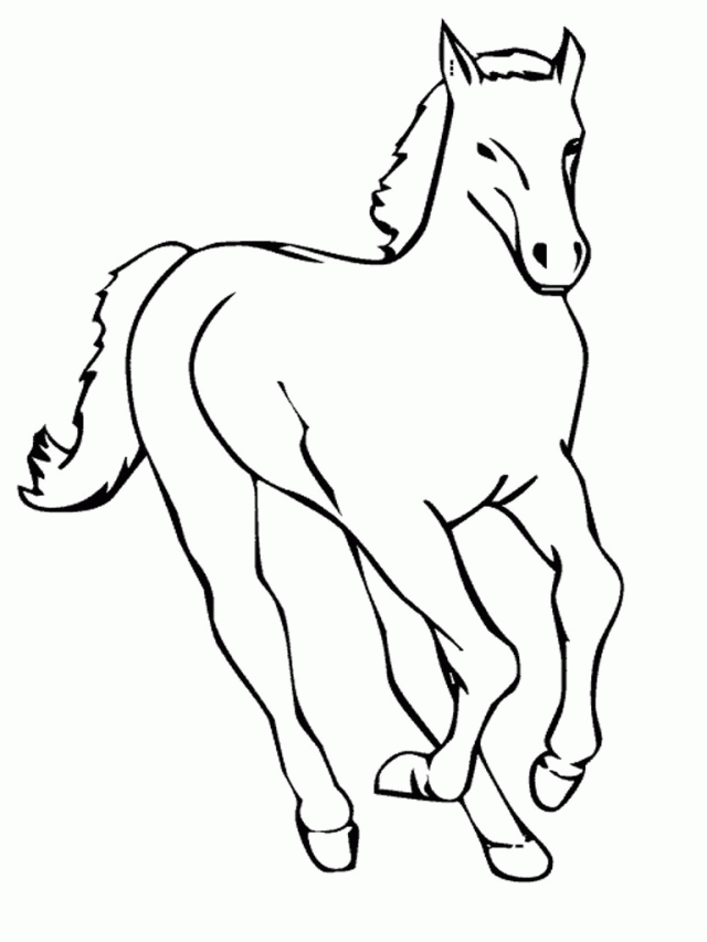 Coloring Pages Horses Realistic Online Coloring Pages Princess 