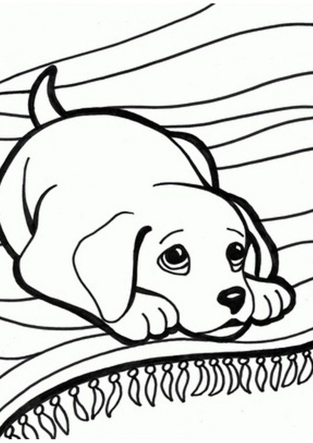 Miscellaneous Coloring Pages Coloring Part 180 22843 Kittens And 