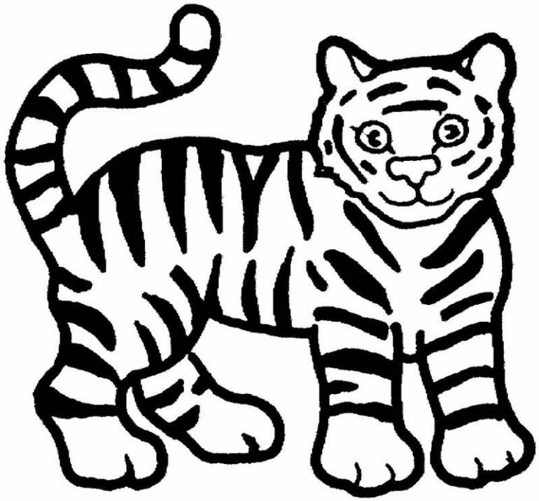Tiger Pictures To Color For Kids | Animal Coloring Pages | Kids 