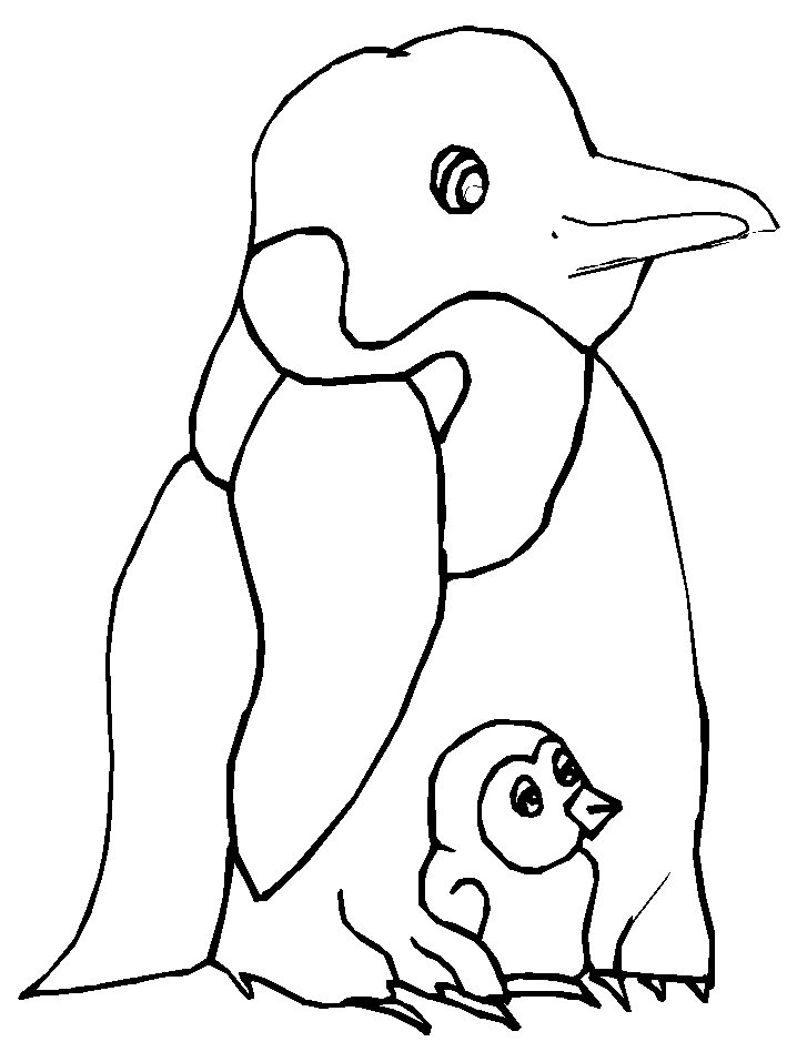 Penguins 13 Animals Coloring Pages & Coloring Book