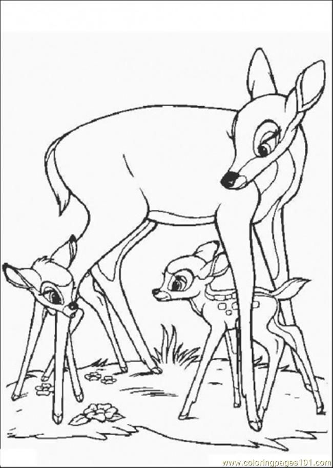 From Bambi Owl Thumper And Flower Cartoons Bambi Free Coloring 