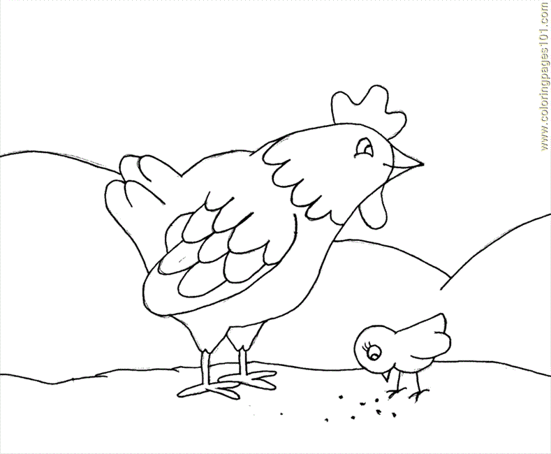 hen and chicks Colouring Pages (page 3)