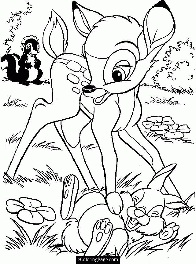 Bambi Thumper Flower Coloring Home