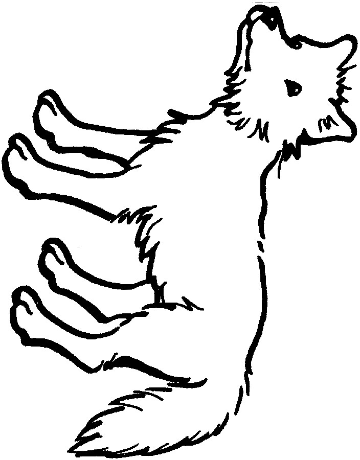 Download Coyote Coloring Page - Coloring Home