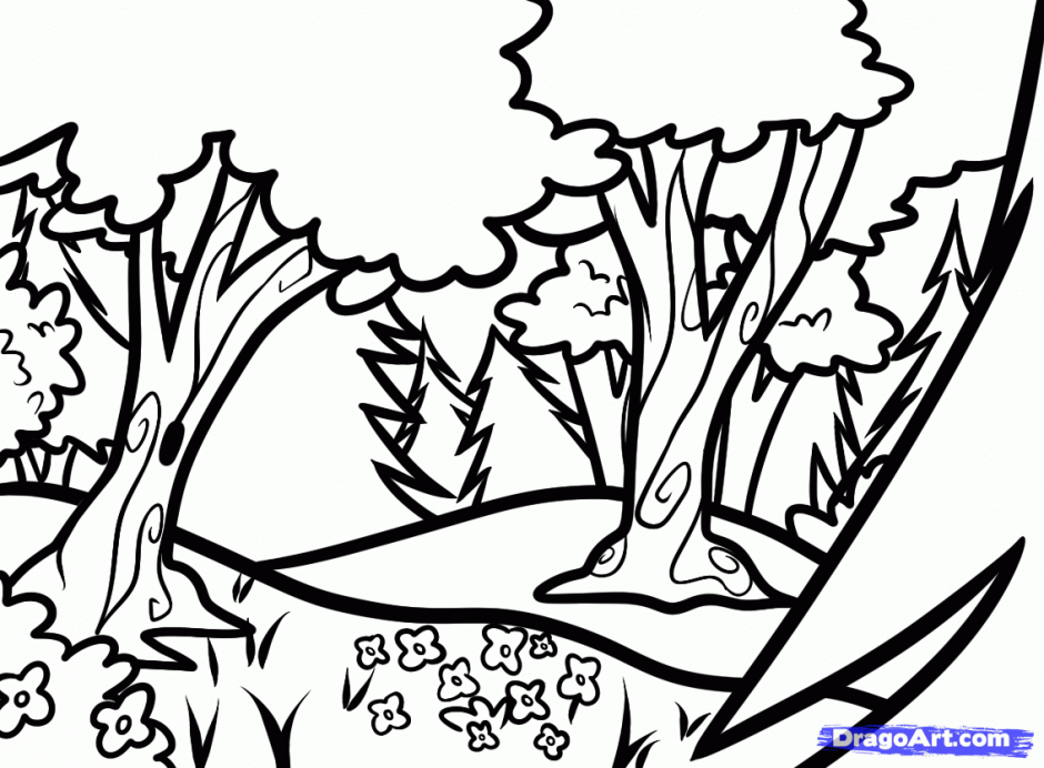 Big Forests Colouring Picture 142619 Forest Coloring Pages Printable
