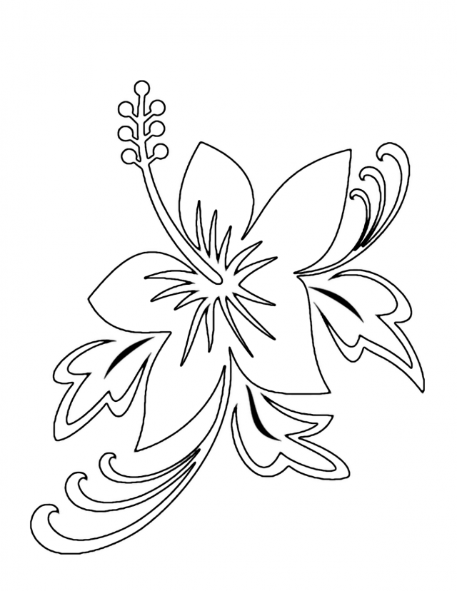 Tropical Flower Coloring Pages Coloring Home