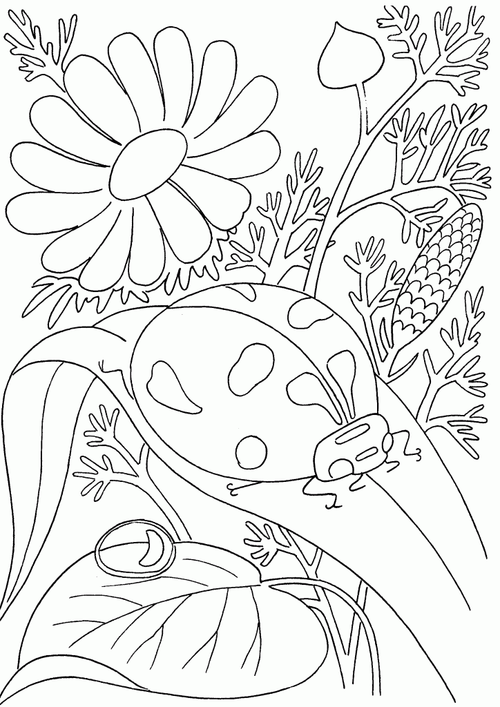 Insect coloring pages for children