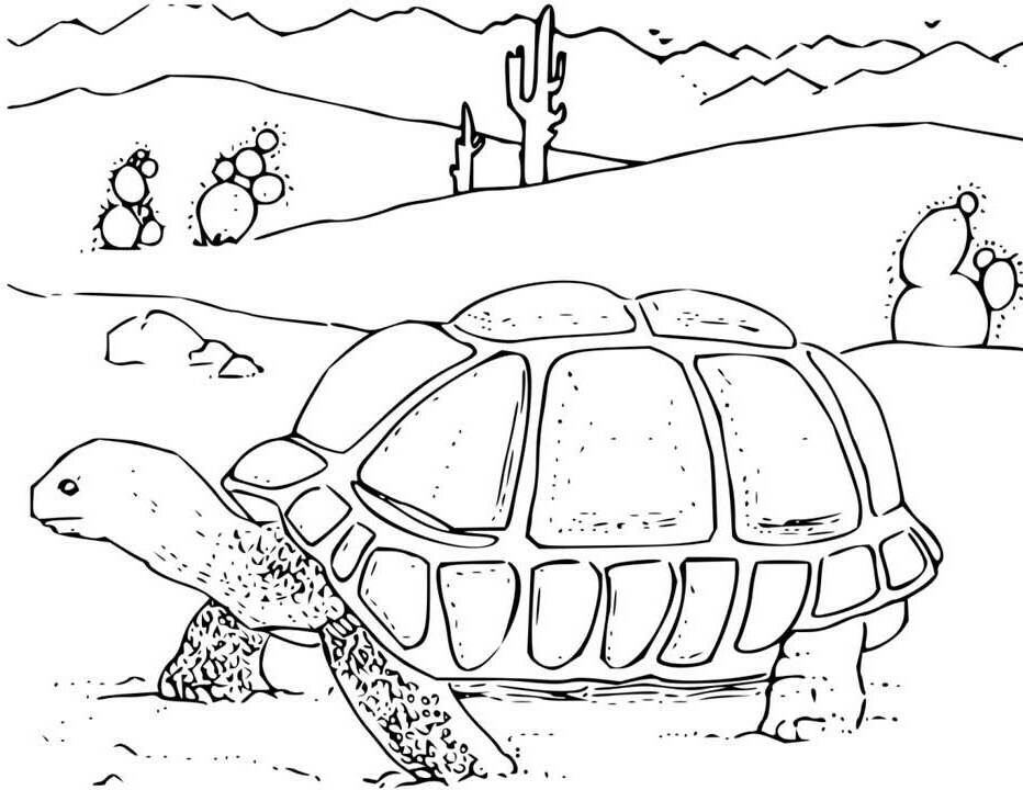 coloring pictures of cactus pages