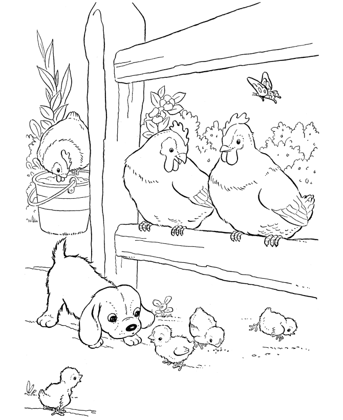 colorwithfun.com - Printable Farm Chickens Pages For Kids to Print