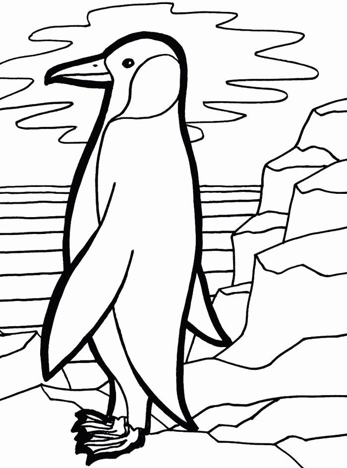 Penguin Coloring Pages : Cute Emperor Penguin Coloring Page Kids 