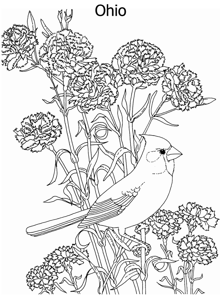 Coloring Pages Flowers Birds 243 | Free Printable Coloring Pages