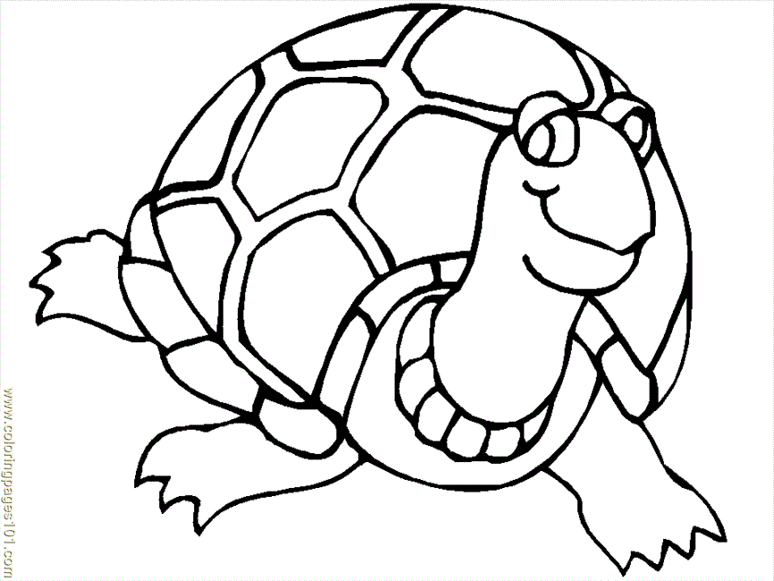 Free Printable Coloring Page Ornate Box Turtle Bw Reptile Turtle 