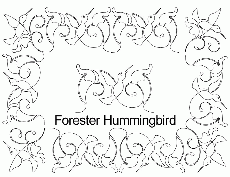 Hummingbird Border | animalgals