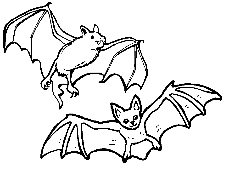 bats+halloween+coloring+page++ 