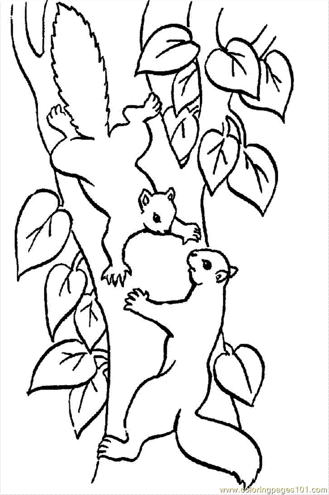 Coloring Pages Two Squirrels In A Tree (Mammals > Squirrel) - free 