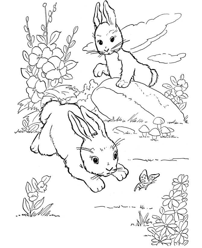 Page Rabbit Bunny Coloring Sheets/page/2 | Printable Coloring Pages