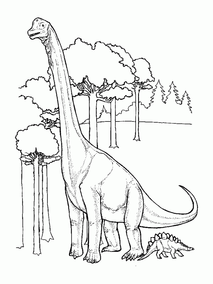 Print Dinosaur T Rex Coloring Pages Com Images 1: Dinosaur T Rex