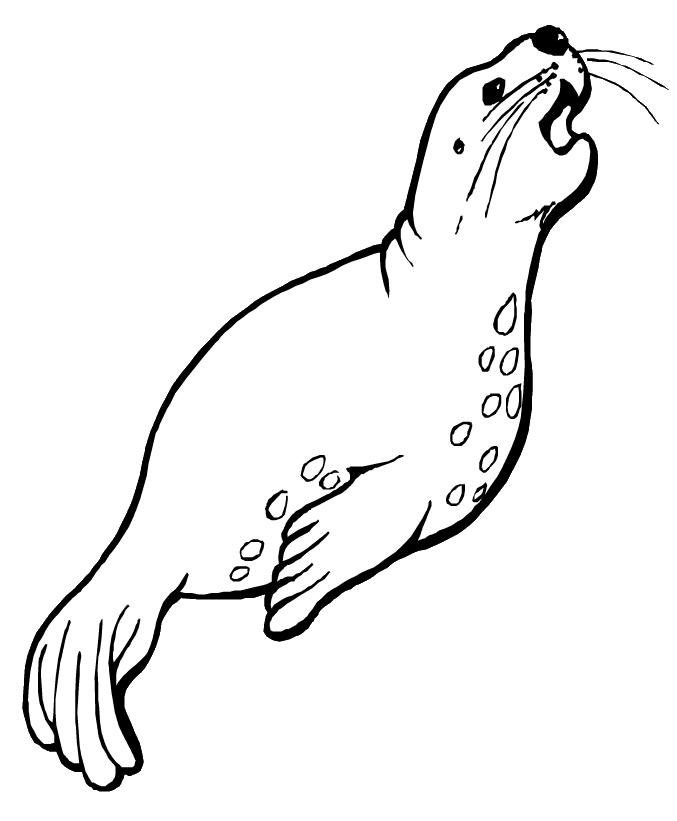 Sea Lion coloring page - Animals Town - Free Sea Lion color sheet