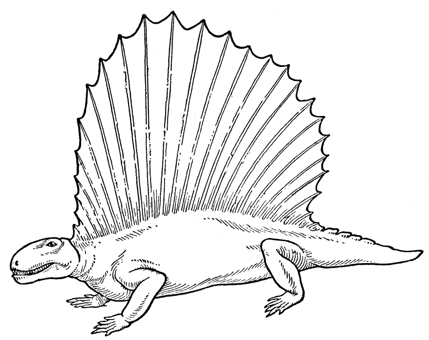 Dinosaur Coloring Pages (13) | Coloring Kids