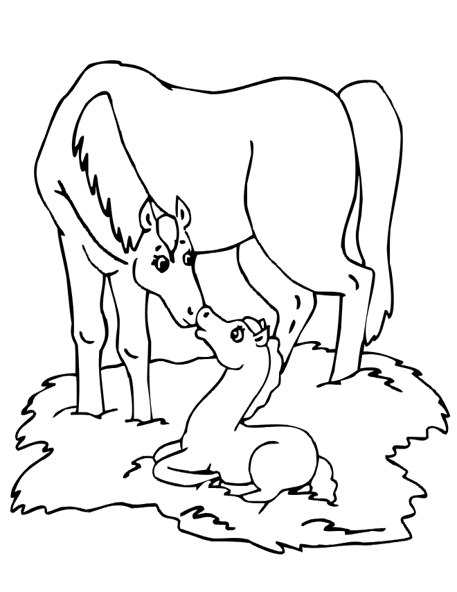 Horse Colouring Pages To Print
