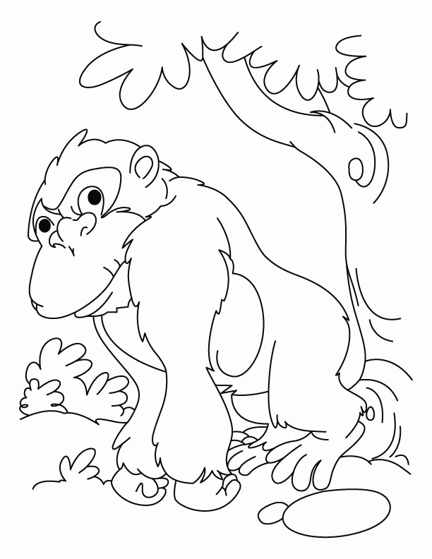 Gorilla Coloring Page - Coloring Home