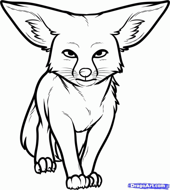 Kit Fox Coloring Pages | 99coloring.com