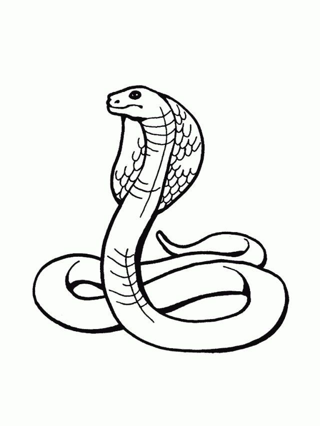 cobra snake coloring pages for kids | Great Coloring Pages