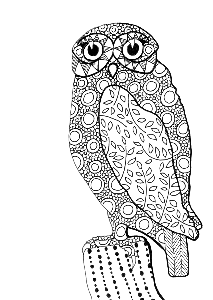 owl drawing Archives « Eclectic Cycle