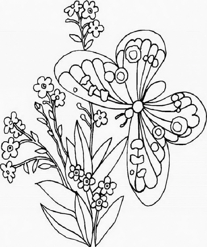 Butterflies Coloring Pages 1 | Free Printable Coloring Pages 