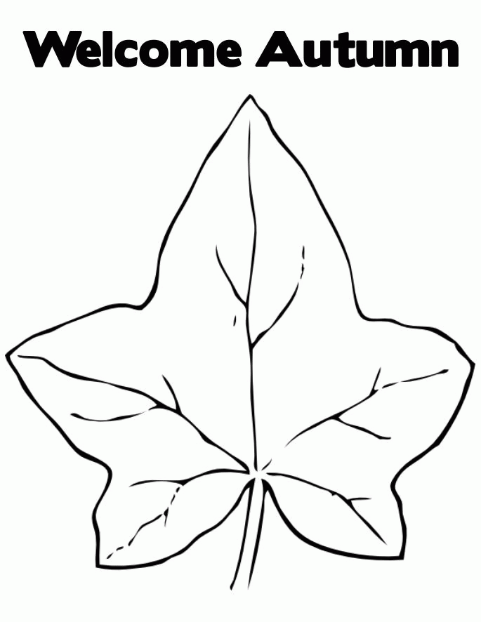 Leaves | Coloring - Part 2