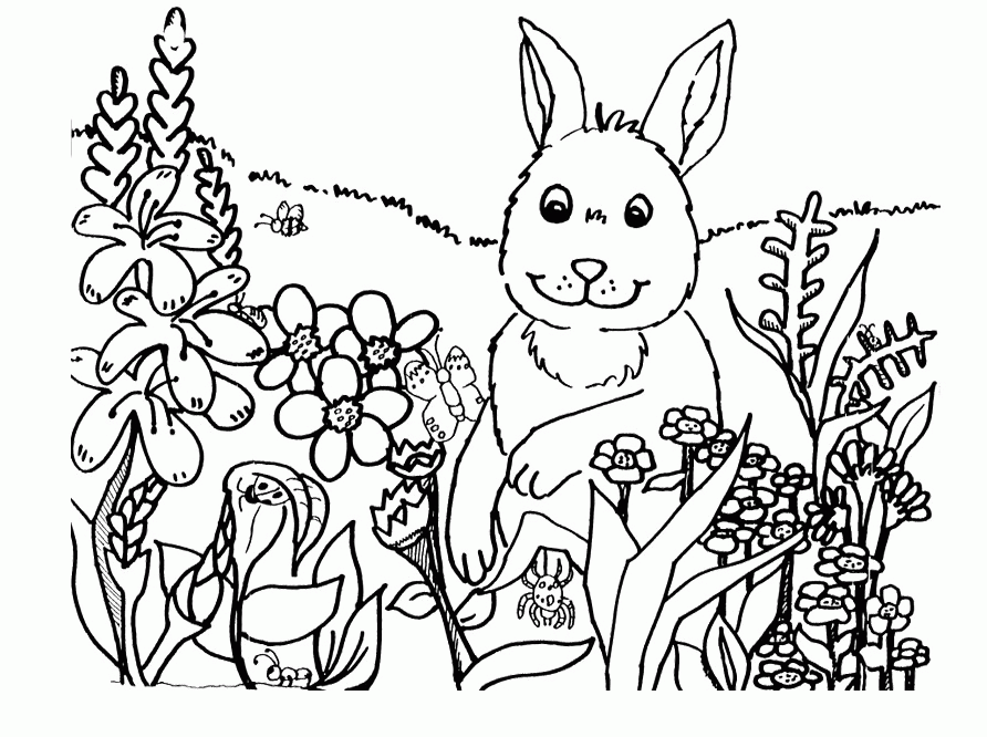 spring coloring pages for kids bunny