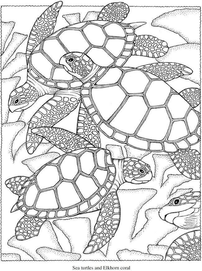 Creative Coloring Pages - Coloring Home