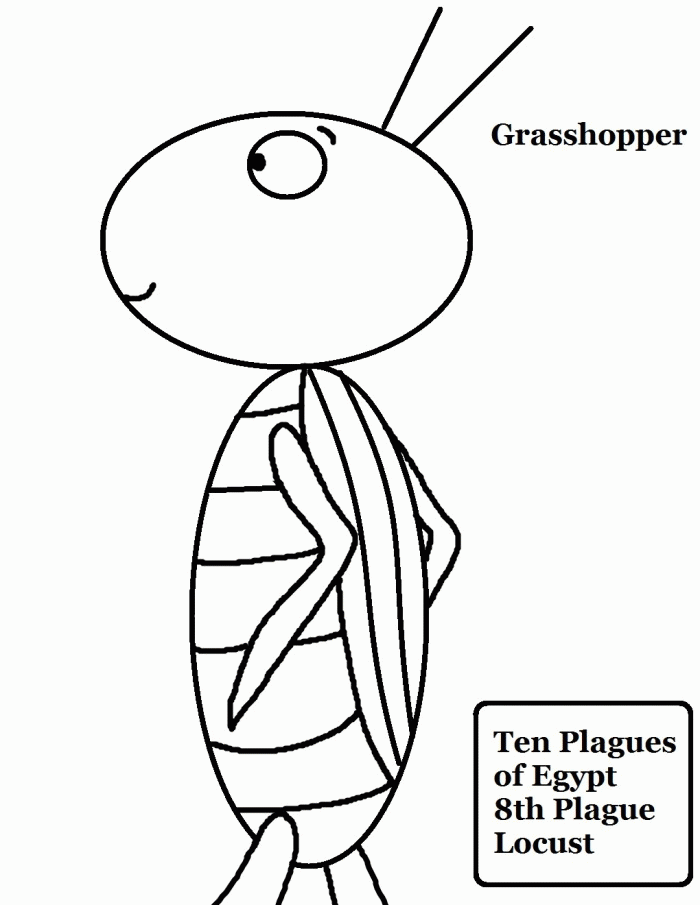 Grasshopper Coloring Page For Kids