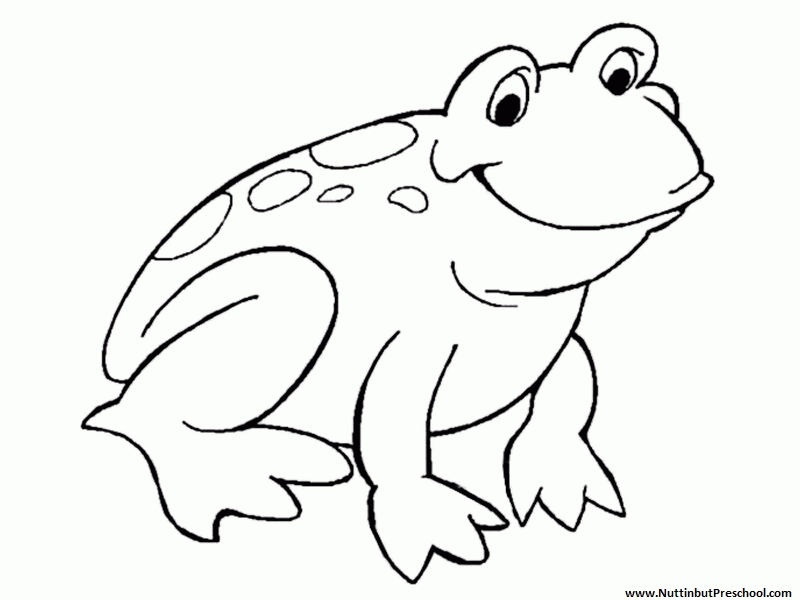 Animal Coloring Frog Coloring Page Or Art Pattern Frog Coloring 