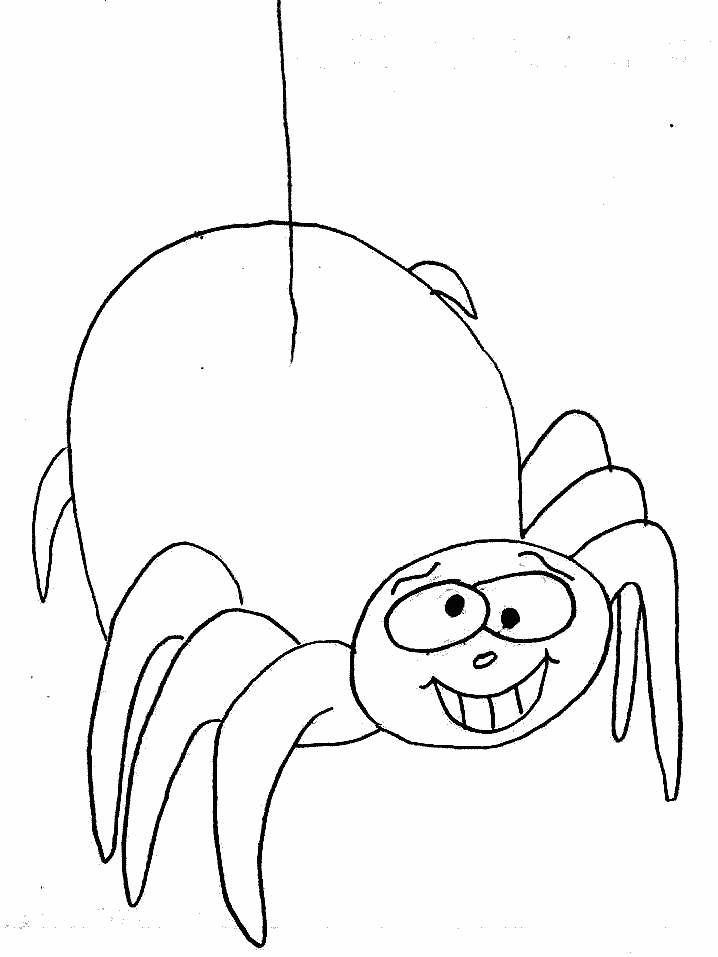 Printable Spider Animals Coloring Pages