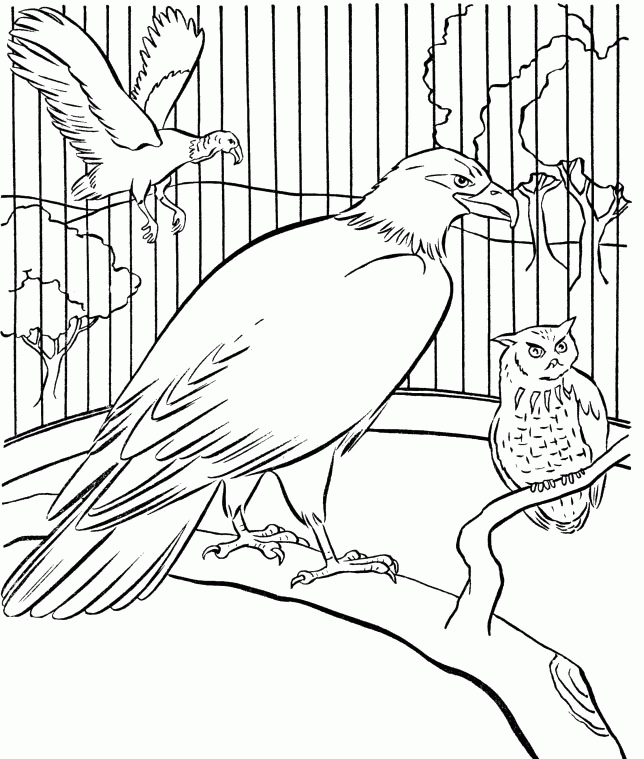 Pictures Big Bird Cage Coloring Pages - Bird Coloring Pages : Free 