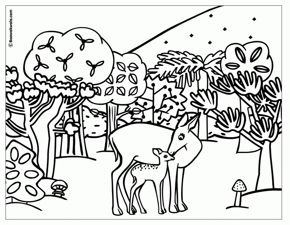 Forest Animals Coloring Page 37415 Animals Coloring Page