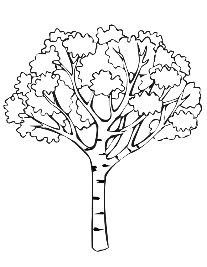 Apple Tree Coloring Pages | Find the Latest News on Apple Tree 