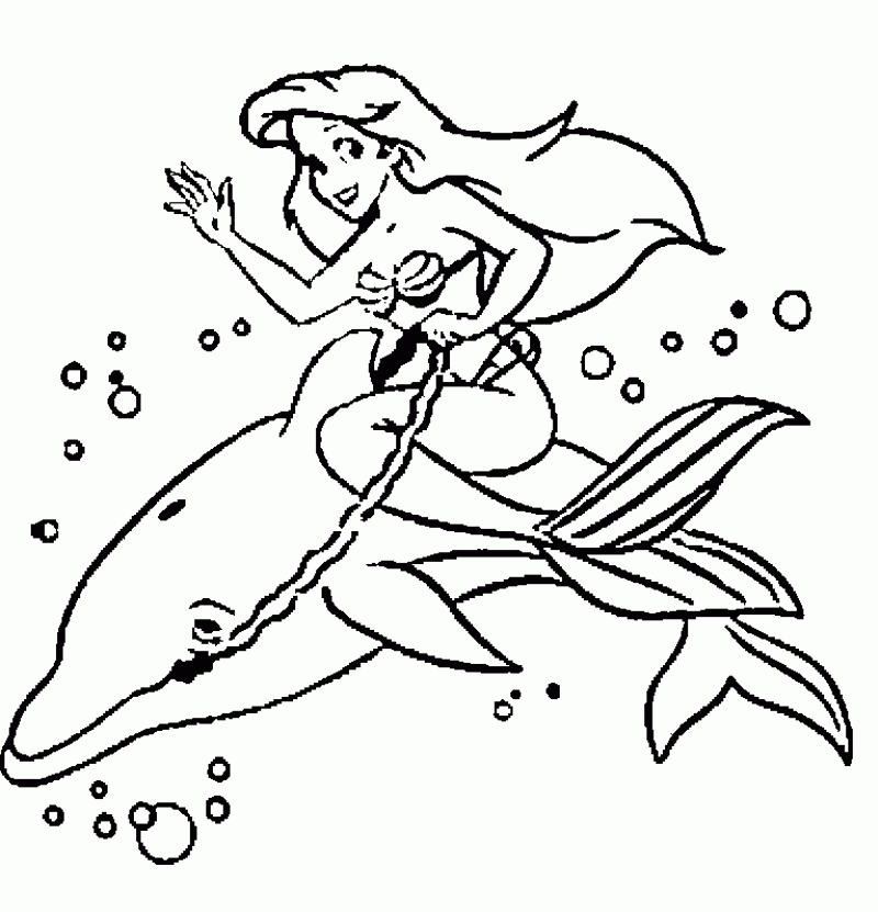 Dolphin Coloring Pages : Dolphin And Mermaid Coloring Page Kids 