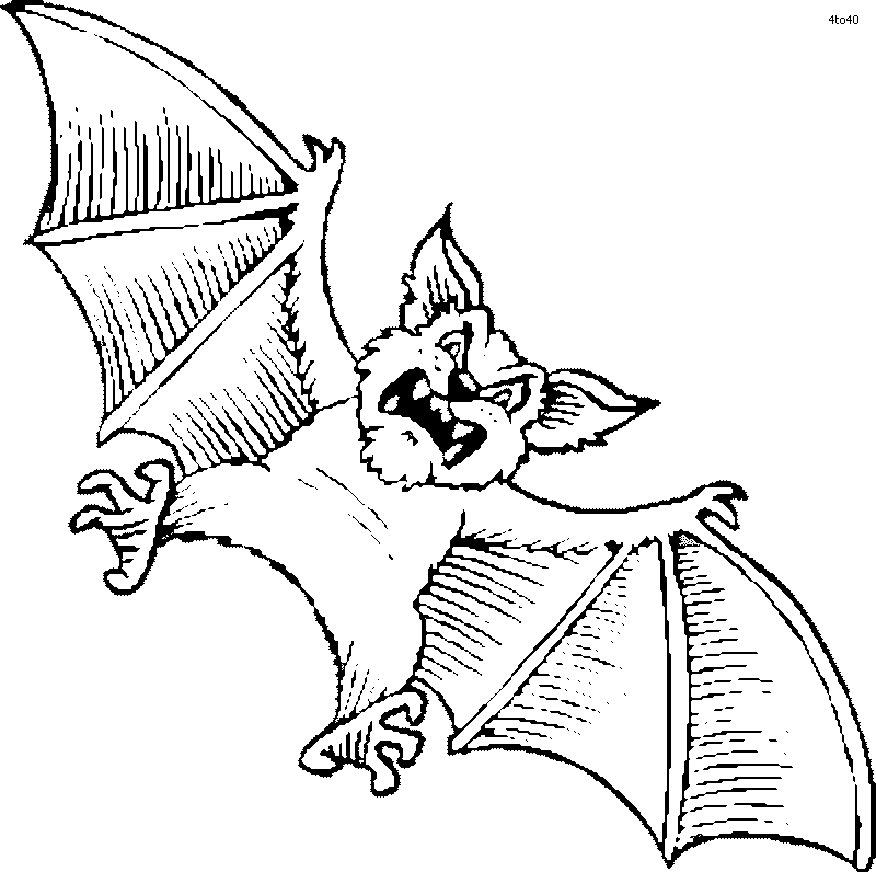 bat coloring book attacking pages