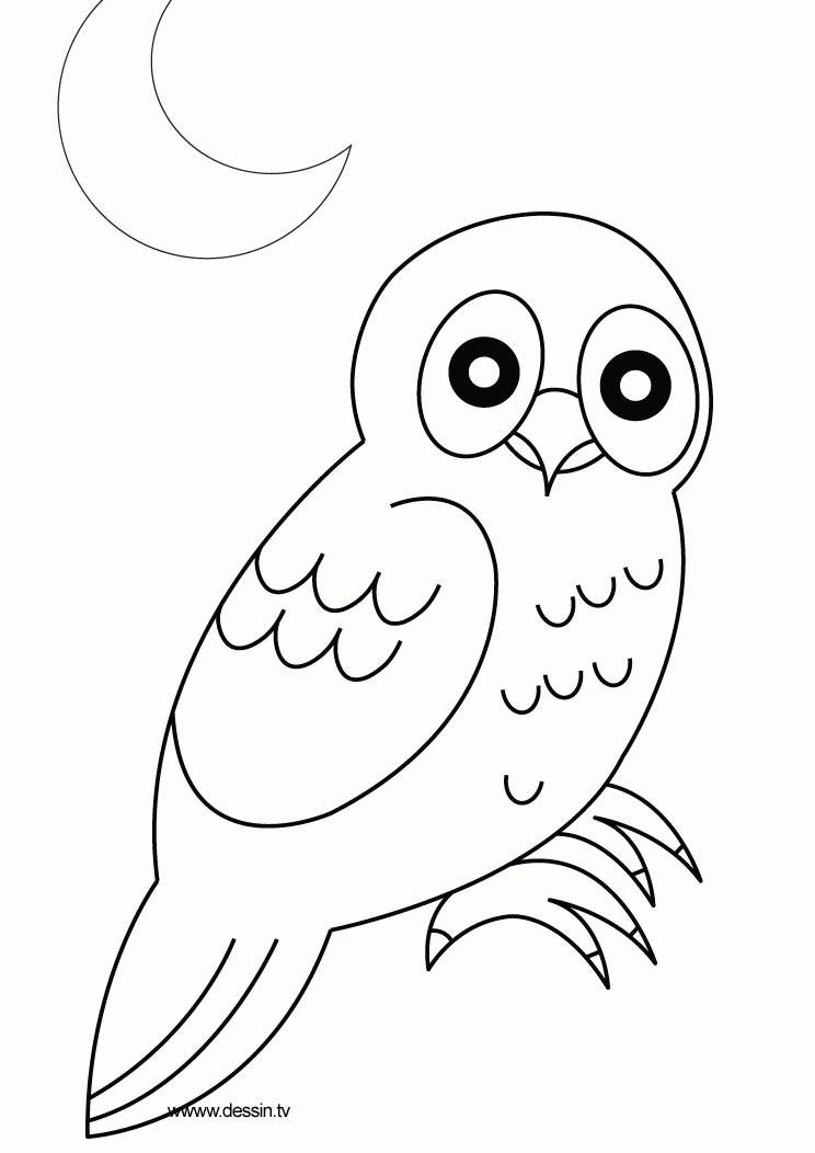Coloring owl