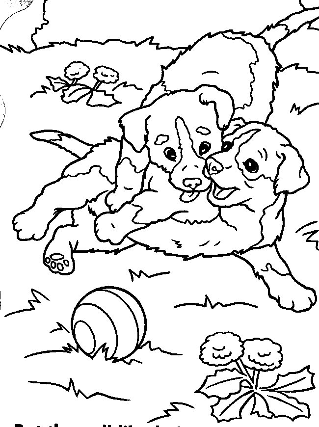 Puppy Coloring Pages | Pet Shop coloring pages | #3 | Color 