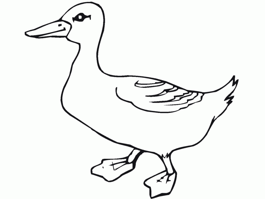 Farm Coloring Pages Coloringmates Barn Animals Coloring Pages 
