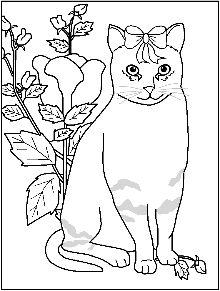 FREE Printable Cat Coloring Pages - great for kids, teachers and 