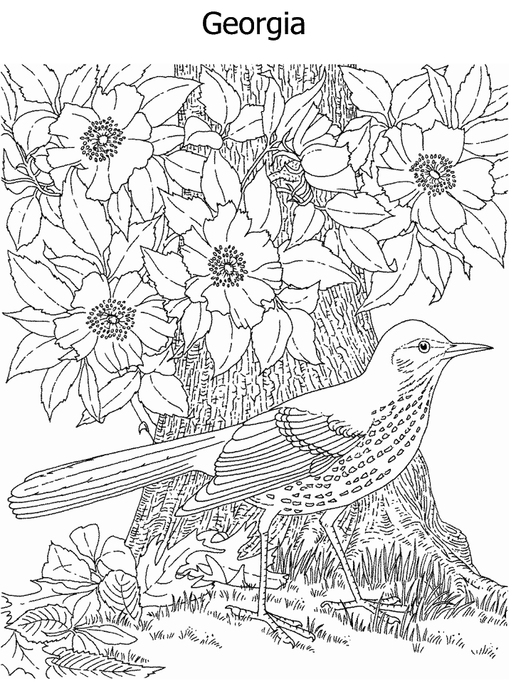georgia the state Colouring Pages (page 2)