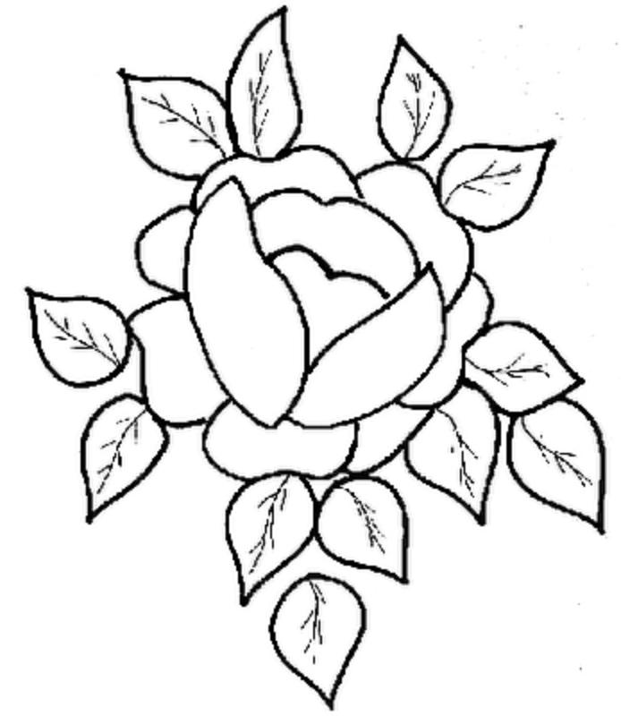 Coloring Pages of Rose Flower | Coloring