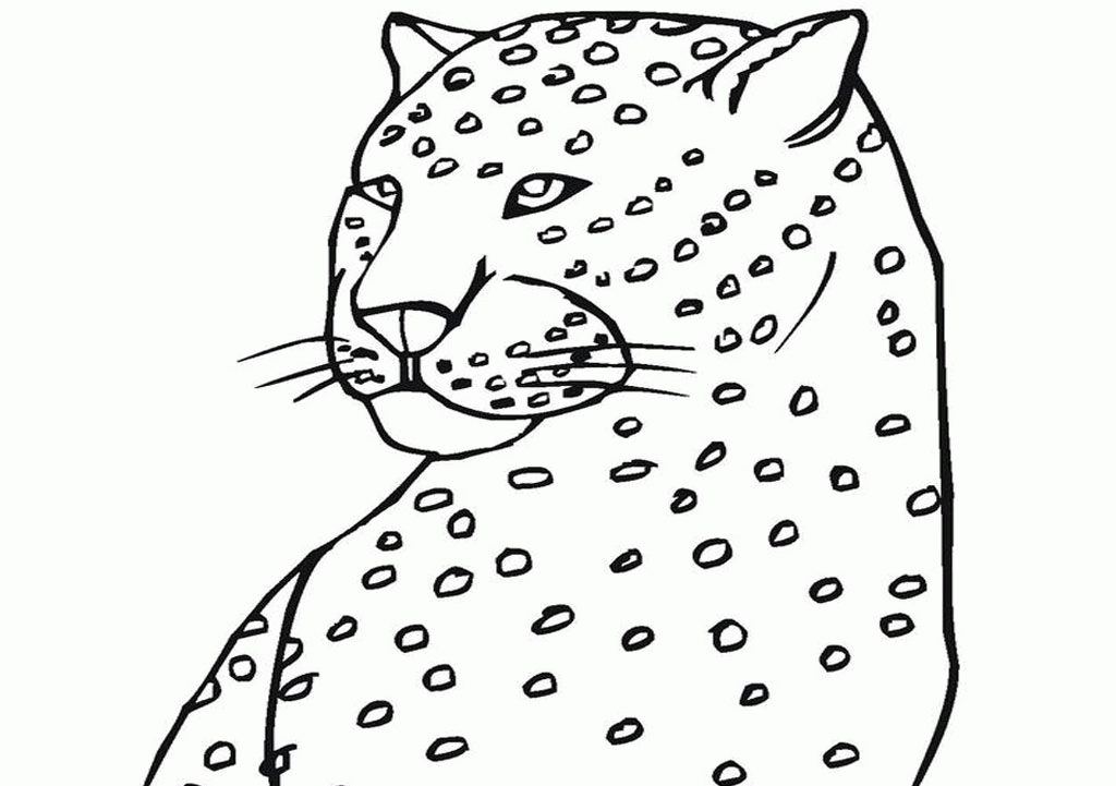 Cute Baby Cheetah Coloring Pages :Kids Coloring Pages | Printable 