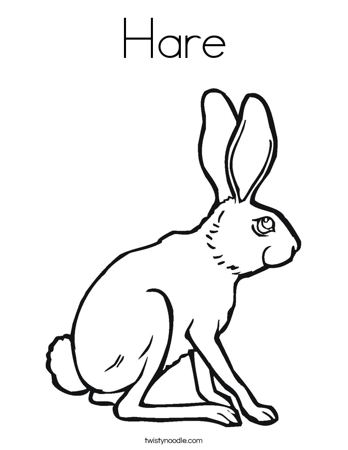 Hare Hare studying Colouring Pages